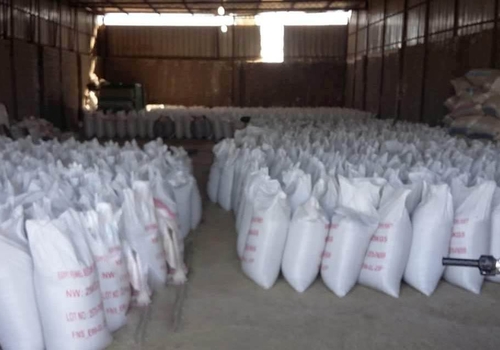 received_1614792635501137